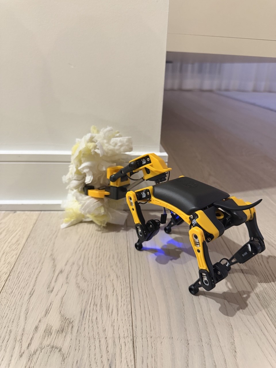 Bugs dusting baseboards